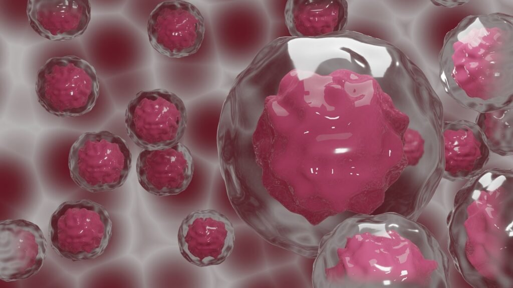 stem-cell