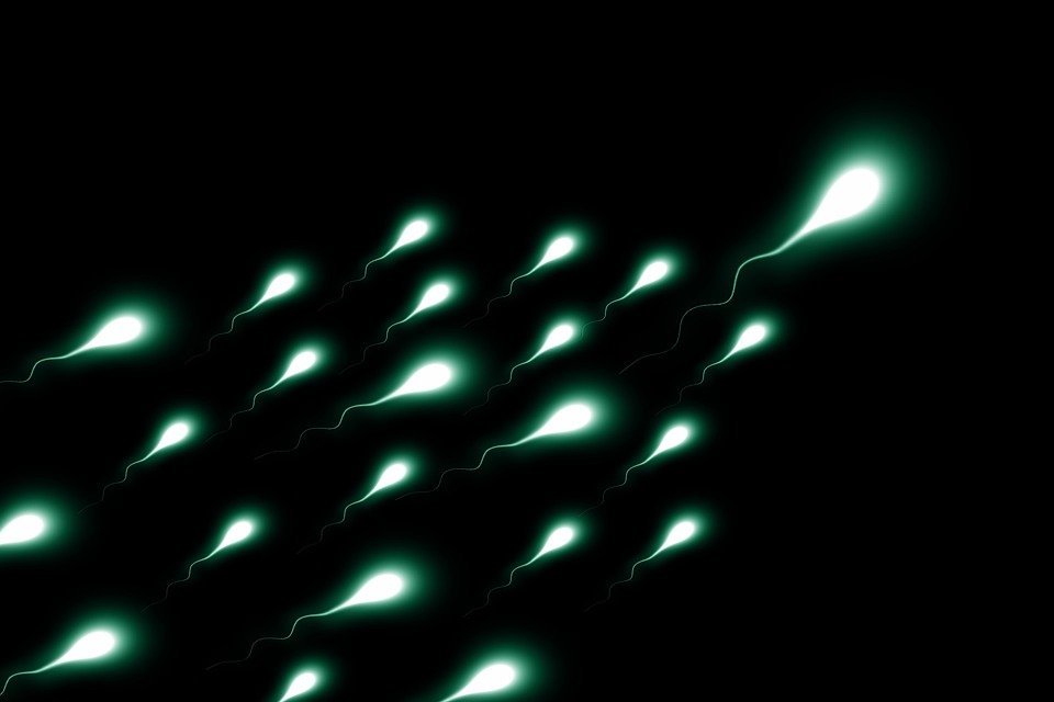 unvaccinatedsperm